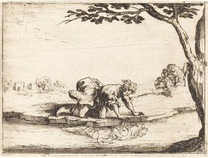 水を見る水仙 作： Jacques Callot