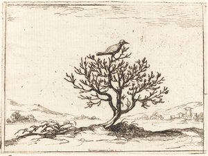 茂みの中のナイチンゲール 作： Jacques Callot