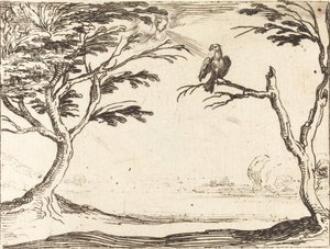 ハゲワシ 作： Jacques Callot