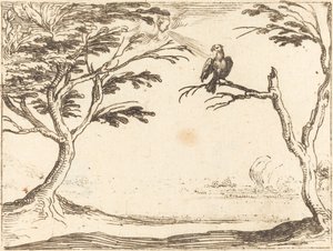ハゲワシ 作： Jacques Callot