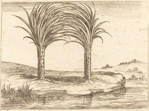 2 つのヤシの木。 作： Jacques Callot