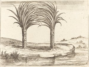 2 つのヤシの木 作： Jacques Callot
