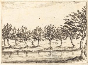 水辺の柳、1628年。 作： Jacques Callot