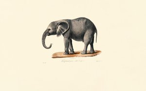  作： Jacques Christophe Werner