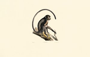  作： Jacques Christophe Werner
