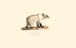  作： Jacques Christophe Werner