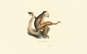  作： Jacques Christophe Werner