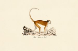 作： Jacques Christophe Werner