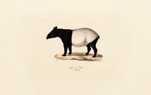  作： Jacques Christophe Werner