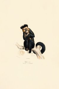  作： Jacques Christophe Werner