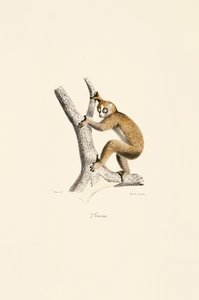  作： Jacques Christophe Werner