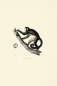 作： Jacques Christophe Werner