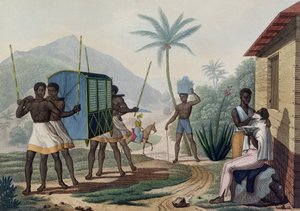 1825年に出版されたシュバールの彫刻が施された「ヴォヤージュオートゥールデュモンドシュルレコルベットドゥウラニー1817-20」から、イルドフランスで運ばれているパラカン