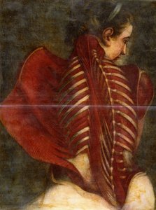 フレイデッドエンジェル、1745年頃 作： Jacques Fabien Gautier dAgoty