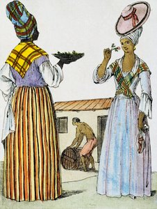 サント・ドミンゴの花屋 ジャック・グラッセ・ド・サン＝ソーヴル（1757-1810）の『航海百科事典』に掲載されたラブローズ（1796年活躍）の絵からのカラー・エングレーヴィング。 作： Jacques Grasset de Saint Sauveur