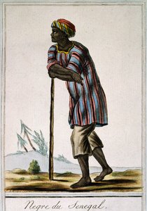 セネガ・ネグロ、ジャック・グラッセ・ド・サン＝ソーヴル（1757-1810）の『航海百科事典』に掲載されたカラー図版