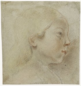子供の頭、右へ 作： Jacques Jordaens