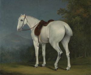 レディースグレイハンター、1806年頃（キャンバスに油彩） 作： Jacques Laurent Agasse