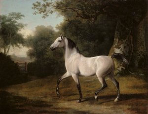 森の中の灰色のアラブの種馬 作： Jacques Laurent Agasse