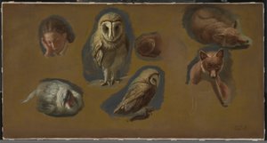キツネ、メンフクロウ、Peahenおよび若者の頭の研究 作： Jacques Laurent Agasse