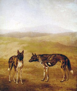 2匹のアフリカの狩猟犬（油彩・キャンバス） 作： Jacques Laurent Agasse