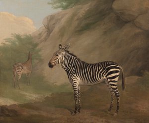 シマウマ 作： Jacques Laurent Agasse