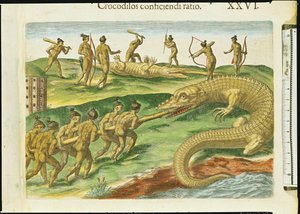 セオドア・ド・ブライ（1528-98）1563（180138の詳細）が刻まれた「ブレビスナラティオ」の狩猟ワニ 作： Jacques Le Moyne