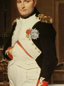 チュイルリーの書斎にいる皇帝ナポレオンの詳細 作： Jacques Louis David