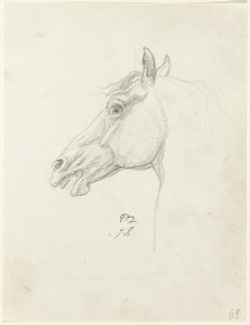 馬の頭 作： Jacques Louis David
