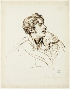 ワシの分布に関する研究、ウジェーヌ ド ボーアルネ公 作： Jacques Louis David