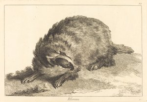 ブレロー（アナグマ） 作： Jacques Philippe Le Bas and Jean Eric Rehn after Jean Baptiste Oudry