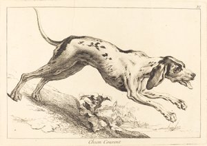 Chien courent (ランニングハウンド) 作： Jacques Philippe Le Bas and Jean Eric Rehn after Jean Baptiste Oudry