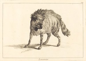 Loucervier (ハイエナ) 作： Jacques Philippe Le Bas and Jean Eric Rehn after Jean Baptiste Oudry