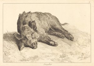 サングリエ（イノシシ寝そべり、左向き） 作： Jacques Philippe Le Bas and Jean Eric Rehn after Jean Baptiste Oudry