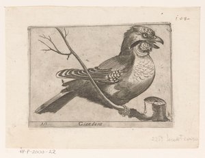 カケス (Garrulus grandarius) Giandara (オブジェクトのタイトル) 鳥（シリーズタイトル） 作： Jacques de Fornazeris