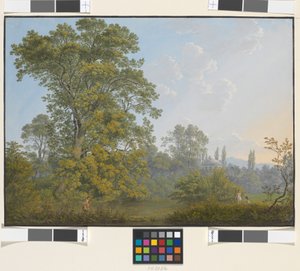 ファウヌスとニンフたちが織りなす理想的な風景 作： Jakob Alt
