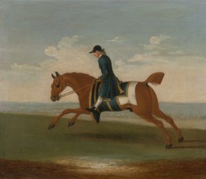青いコートでトレーナーが練習した栗の競走馬（キャンバスに油彩） 作： James (attr.) Seymour