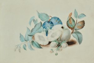 静物 作： James (attr.to) Goddard