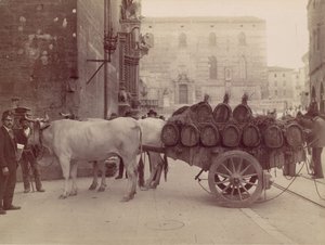 牛を乗せたワゴン、ペルージャ、1880年代 作： James Anderson