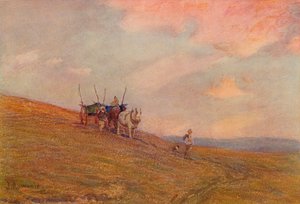 ハーティング近くのダウンズ、c1870-1906、1906。 作： James Aumonier