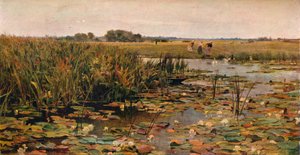 睡蓮、c1870 作： James Aumonier