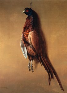 ハンギングコックキジ、1822年 作： James Barenger