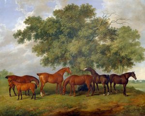 The Theobald Stud」、1825年