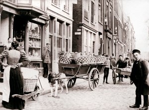 ドッグカート、アントワープ、1898年。 作： James Batkin
