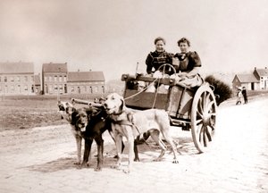 アントワープのカートで女性を引っ張っている犬、1898年。 作： James Batkin