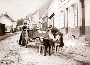 女性とドッグカート、アントワープ、1898 作： James Batkin