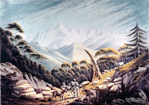 ヒマラヤのネパールの群れ、1826 作： James Bolivar Manson