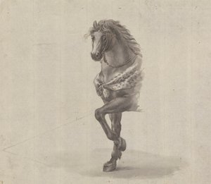 Estudo da frente de um cavalo 作： James Bruce