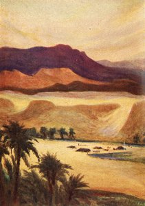 エリムのパレスチナキャンプ-ヘブ。 xiii。 11、c1924。クリエイター：James Clark、Henry A Harper。 作： James Clark and Henry A Harper