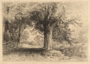 A Farm Lane、1887年1月、作品2 作： James David Smillie